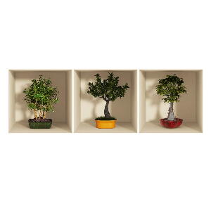 Set 3 autocolante cu efect 3D Ambiance Bonsai Trees