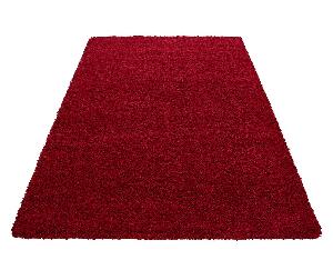 Covor Dream Red 160x230 cm - Ayyildiz Carpet, Rosu
