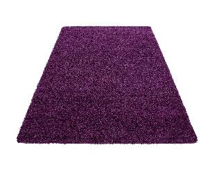 Covor Dream Lilac 160x230 cm - Ayyildiz Carpet, Mov